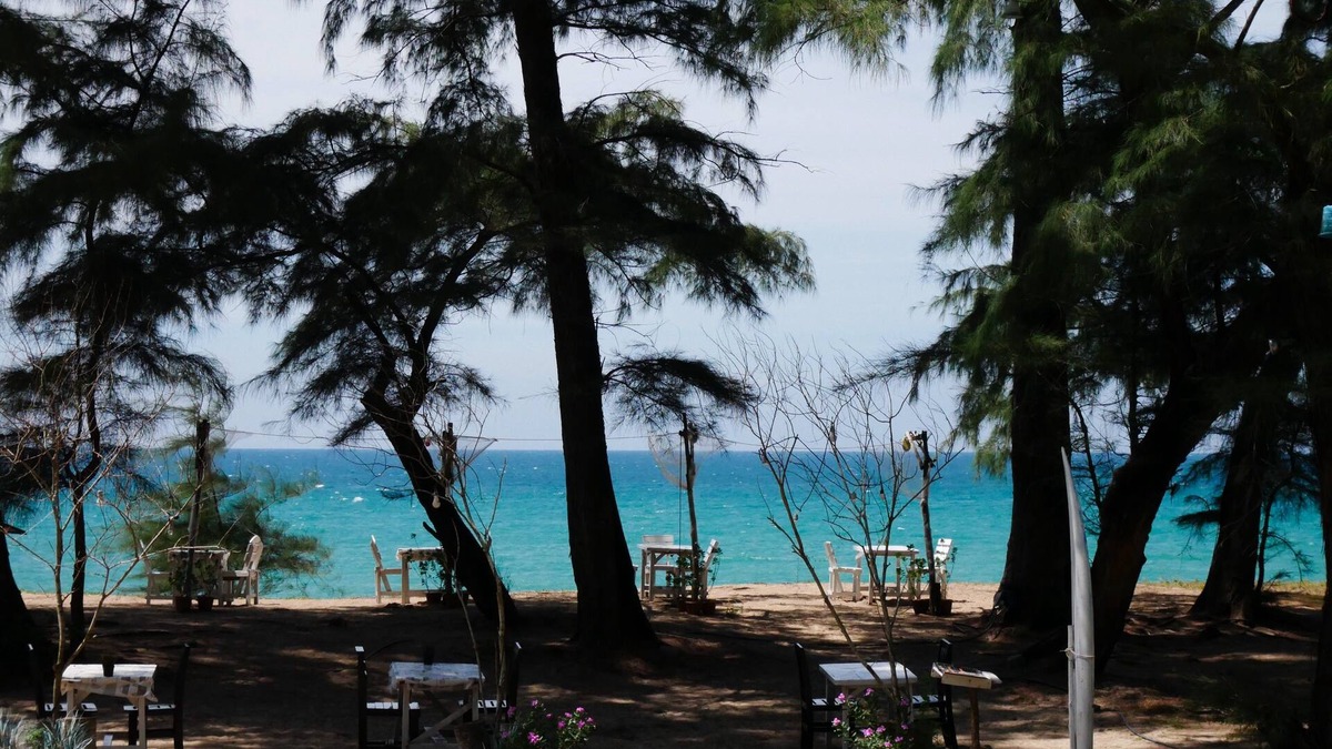 Mai Khao Hotel | Micky Monkey Beach Hotel Phuket Maikhao Thailand