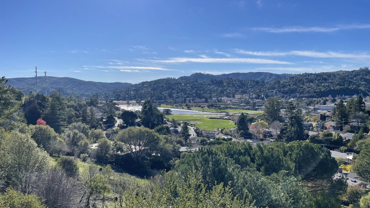 Mill Valley House | Mid-Century Mill Valley with Fabulous Bay Views!