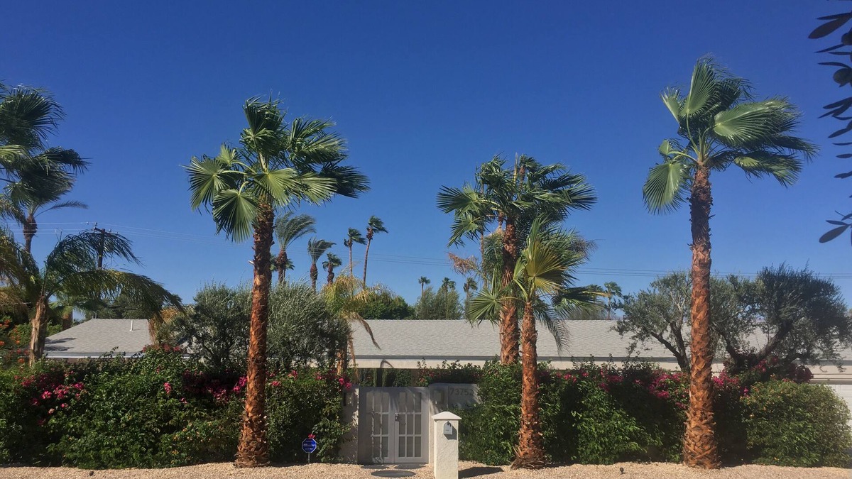 Palm Desert House | Mid-Century Modern Soul, Lux Euro Sleek Style. El Paseo - South Palm Desert