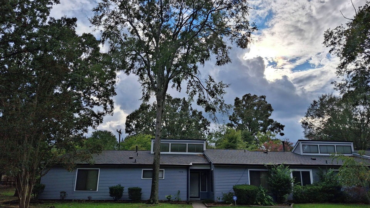 McAlpine Apartment | Mid Century Modern Spacious 4BR Home All Inclusice South Charlotte