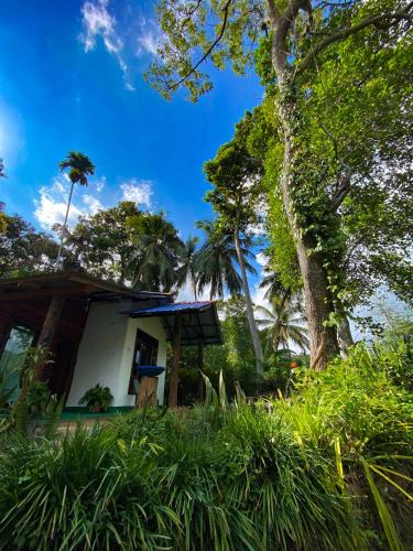 Ella Bed & Breakfast | Mid Clime Ella