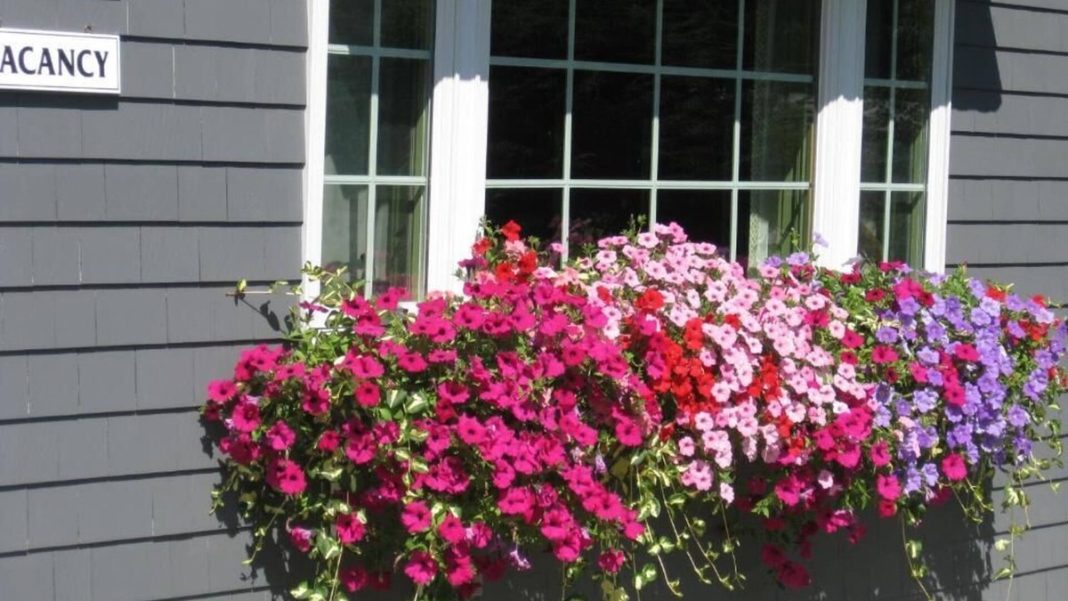 Boothbay Harbor Hotel | Mid-Town Motel