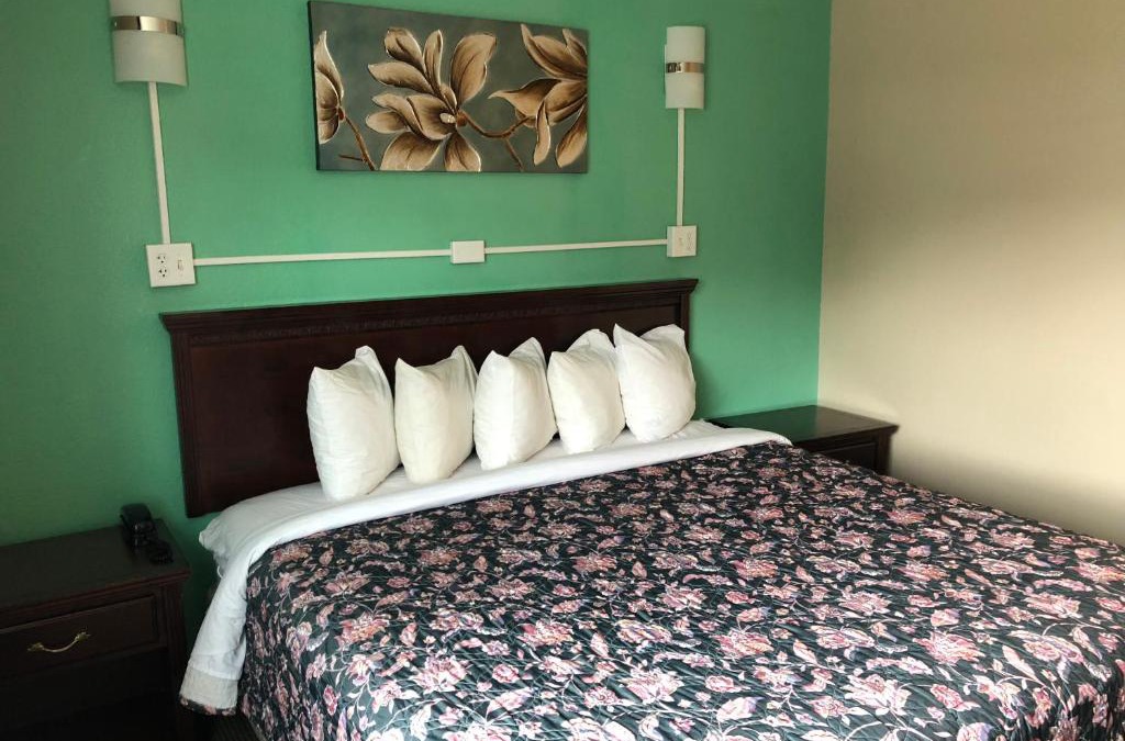 Springfield Hotel | Midtown Inn