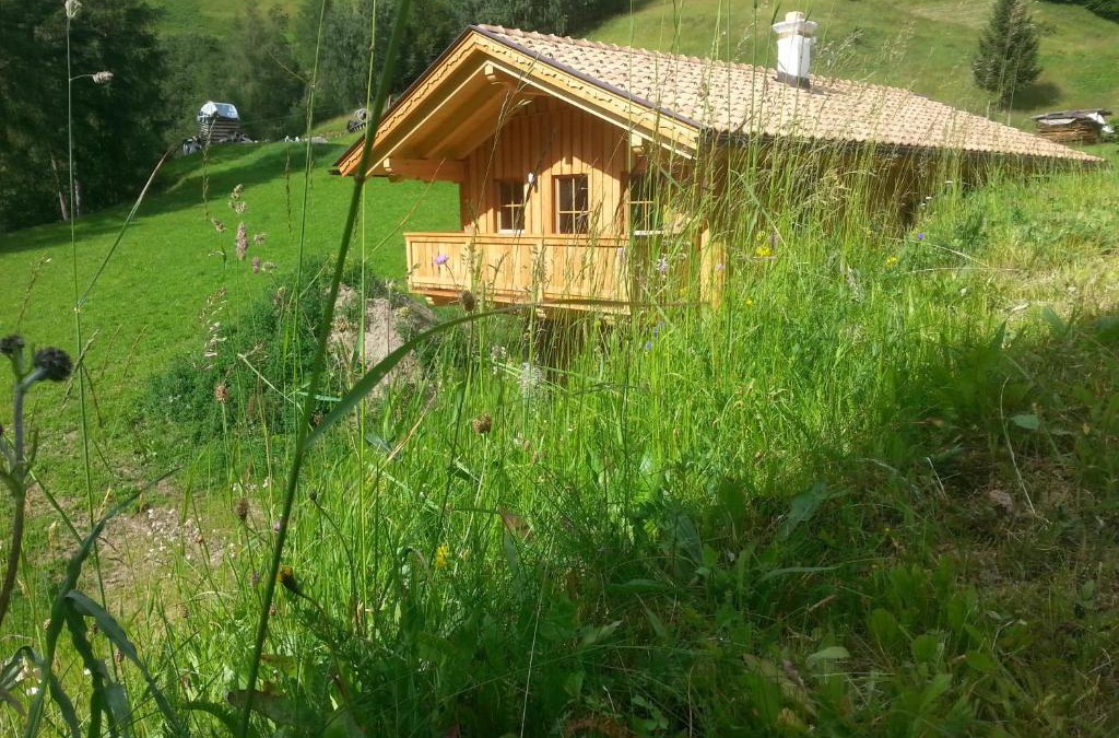 Heiligenblut Ski Chalet | Miehl