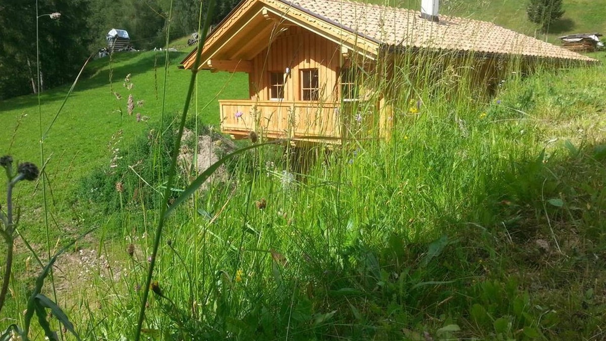 Heiligenblut Cabin | Miehl - Hut, Austria
