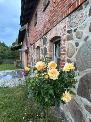 gmina Filipow Villa | Mierunia Nature