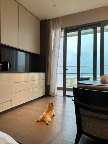 Dien Ban Apartment | Mika Wedding's Room
