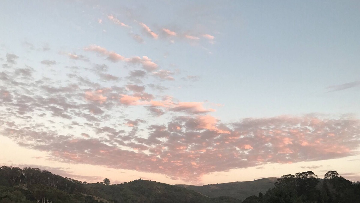 Tamalpais-Homestead Valley Apartment | Mill Valley: 15 Mins to SF, 10 Mins to Muir Woods