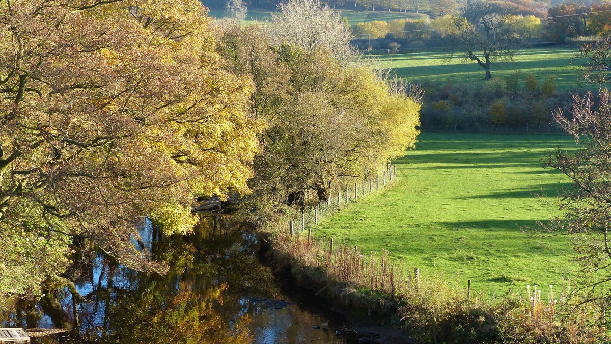 Millhouse Green Bed & Breakfast | Millbrook B&B
