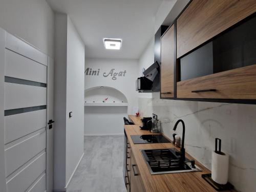 Lwowek Slaski Apartment | Mini Agat