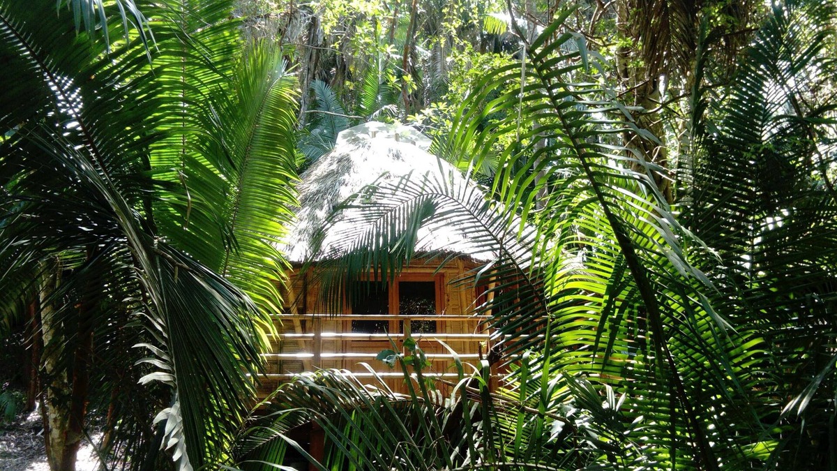San Francisco Cabin | Mint Cabin 1. Romantic Ecolodge in the jungle by the sea
