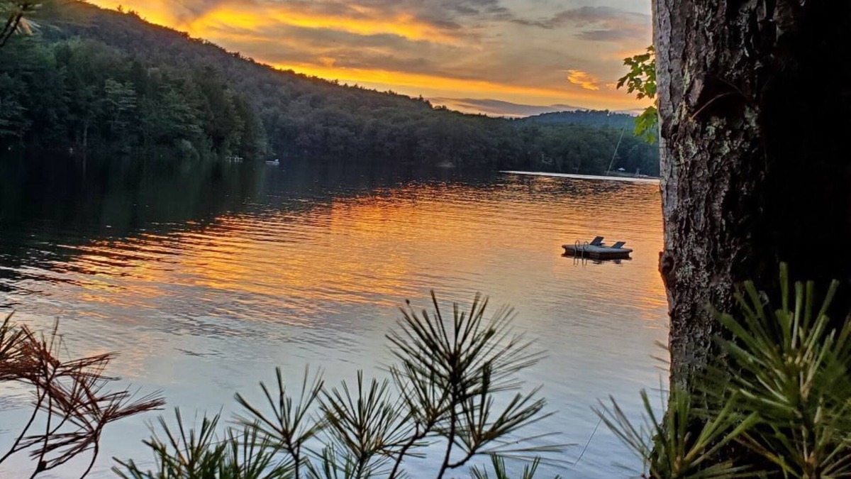Brooks Cabin | Minutes from Belfast, Maine. Cozy waterfront Cabin! Come explore and relax!
