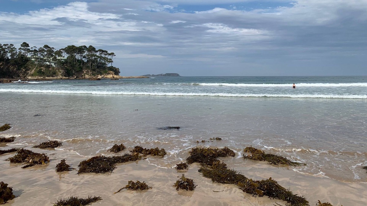 Denhams Beach House | Minutes walk to sheltered Denhams Beach