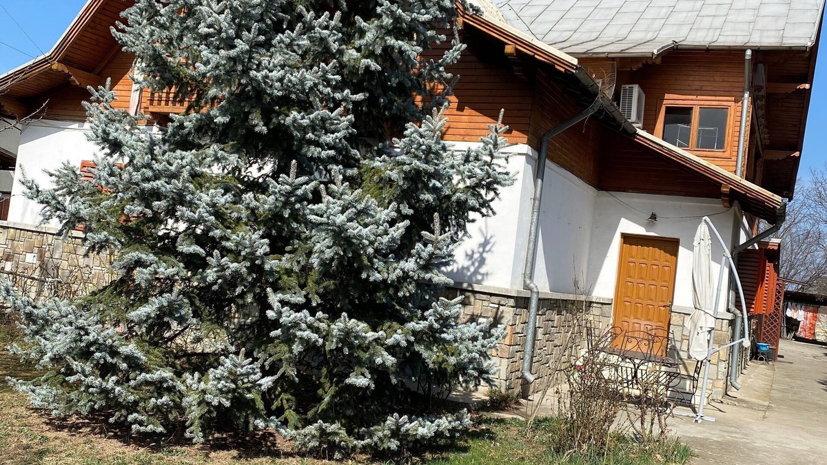 Ploiesti Villa | Mirage-The Welcome Rest