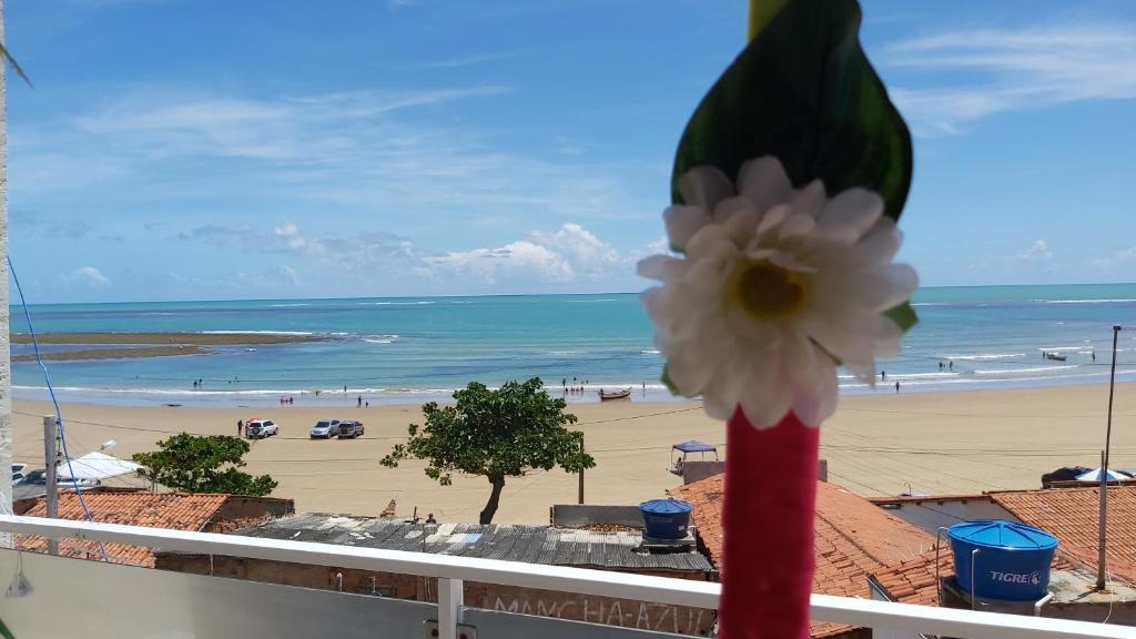 Piacabucu House | Mirante Beach House