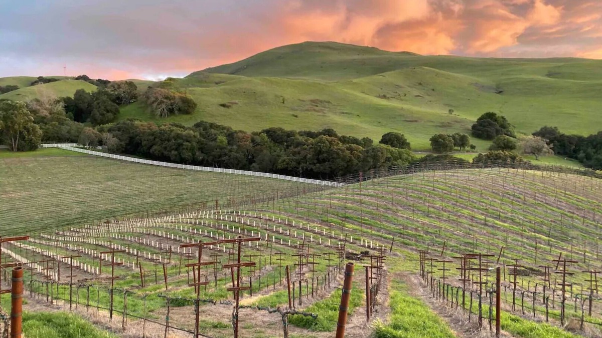 Mount Hamilton Other | Mission Peak Ranch: Farm Stay