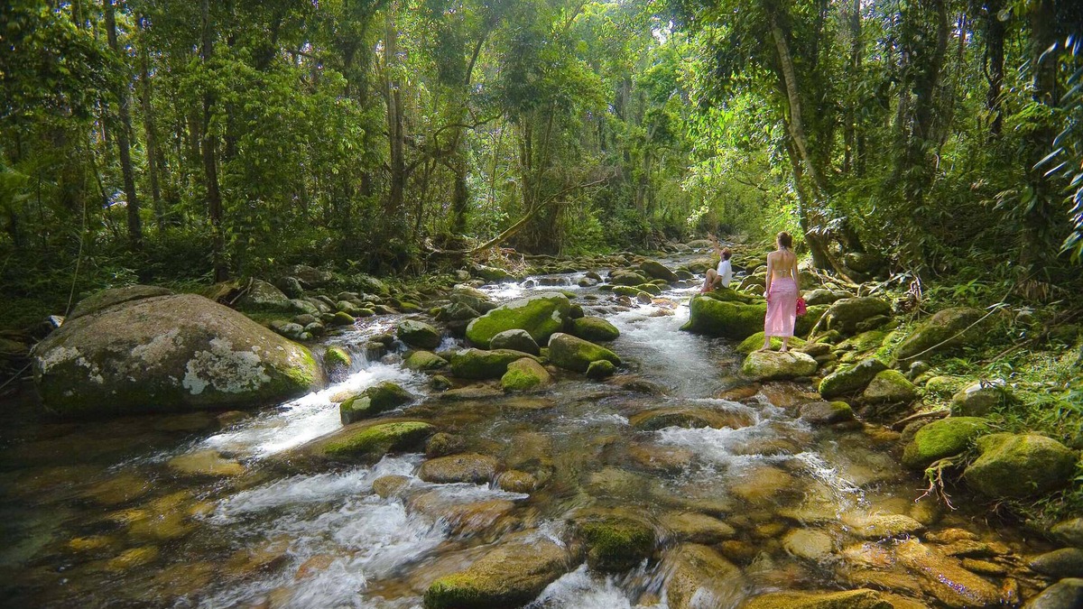 Bellenden Ker House | Misty Mountains Rainforest Retreat