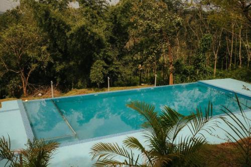 Sulthan Bathery Resort | Misty Night Wayanad Bamboo Resort