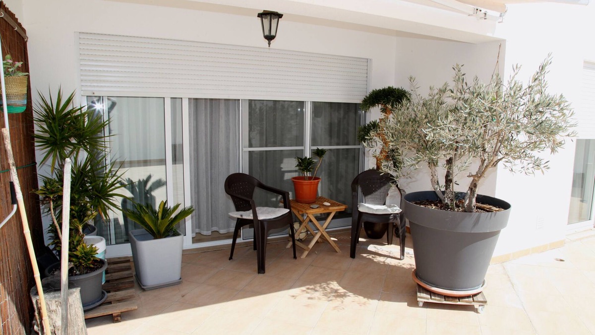 Sao Bartolomeu de Messines Apartment | Modern apartment in the center of algarve