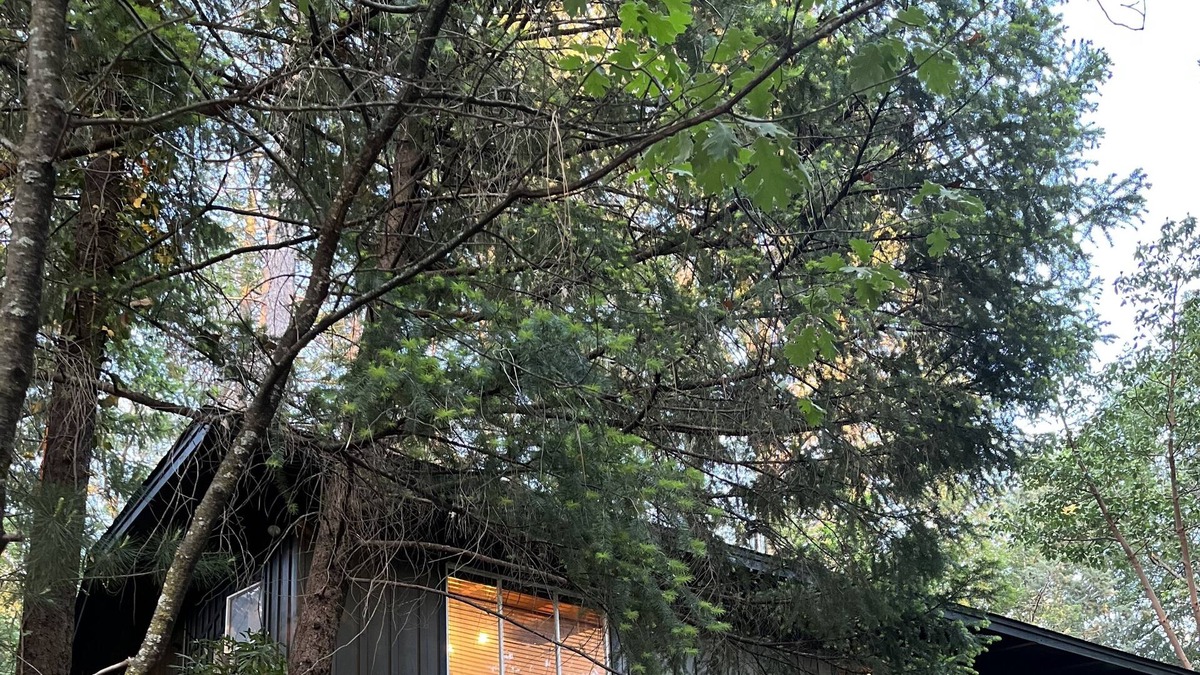 Cobb Cabin | Modern and beautiful renovated cabin in Lush Lake County!