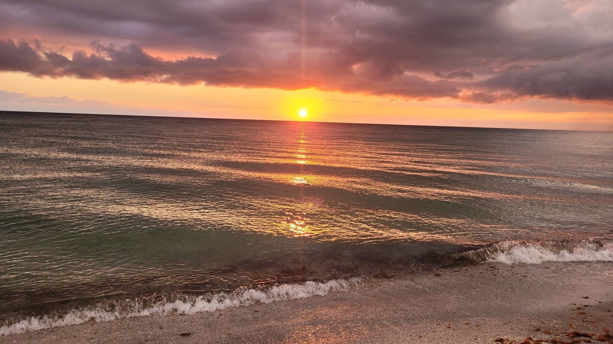 Charlotte County House | Modern Beach house with a great view, totally updated, private beach.