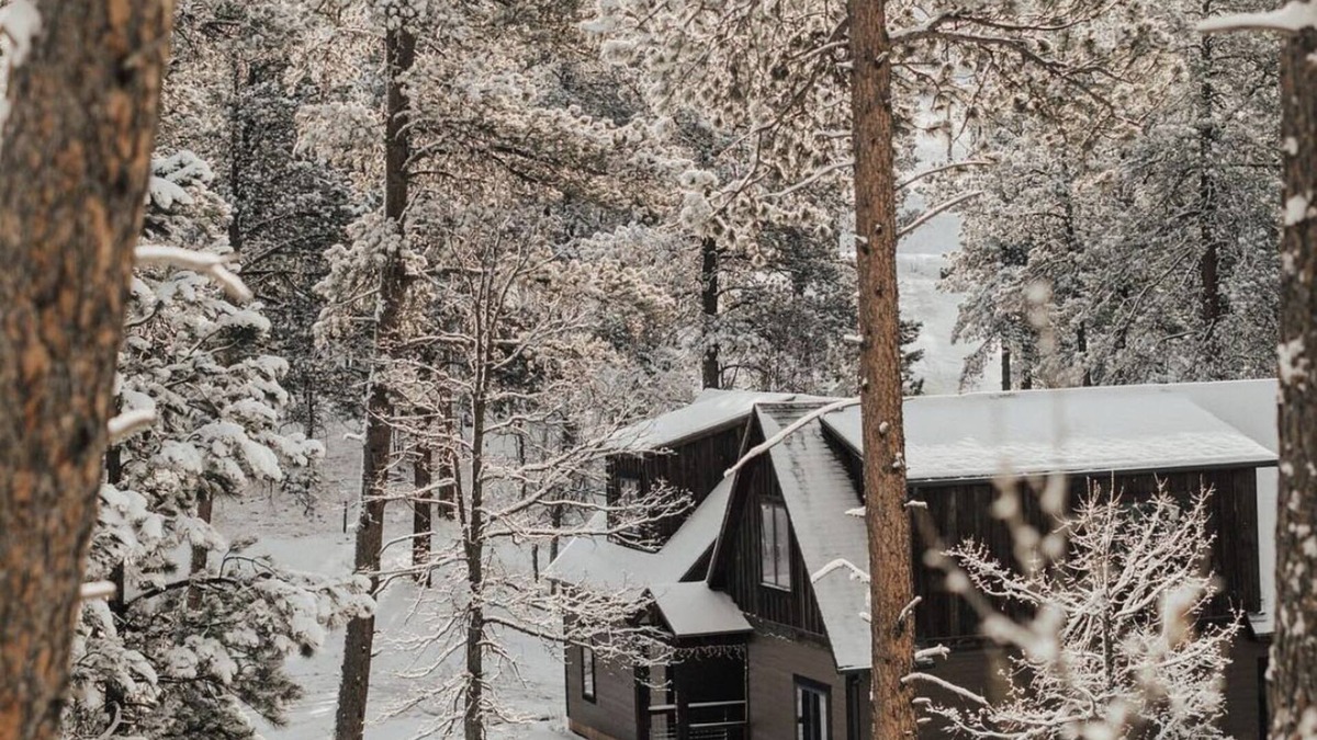 Deadwood House | Modern Cabin in the forest with Hot tub