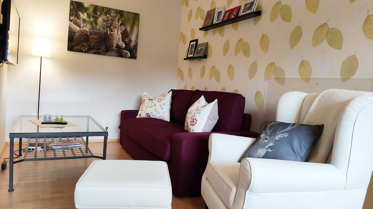 Hohegeiß Apartment | modern, comfortable studio - Sauna and table tennis in the house, Free WiFi!