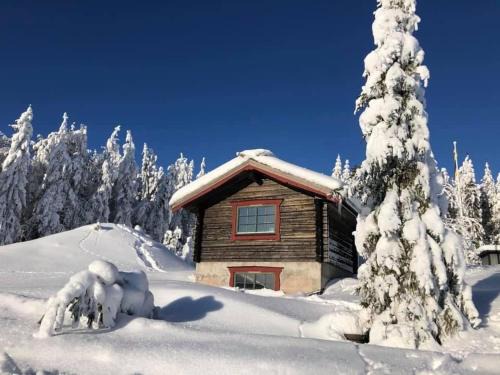 Orsa Ski Chalet | Modern cottage winter house