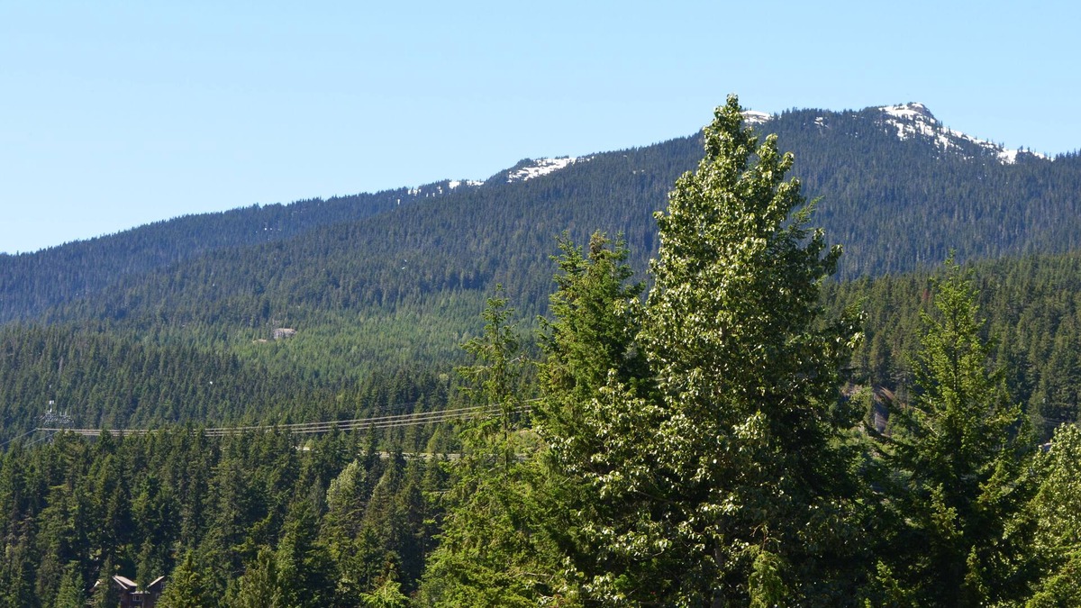 Whistler Creekside Condo | Modern Designed Condo, Walking Distance From Chairlift With Mountain View