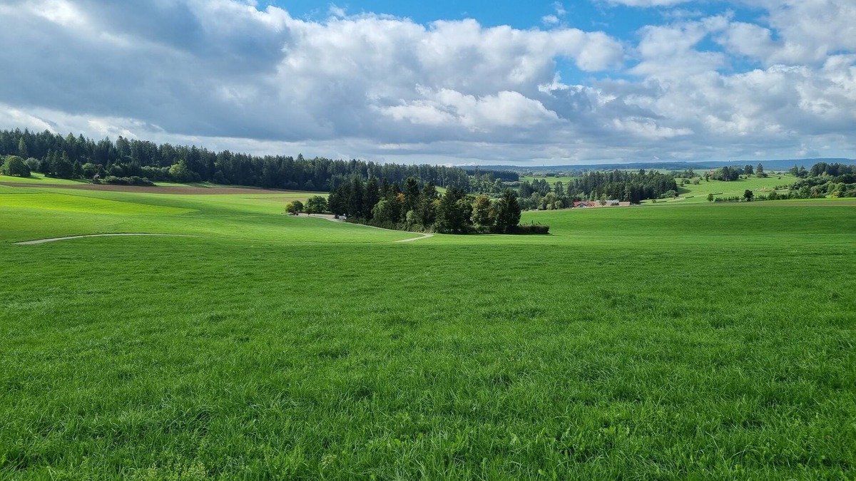 Loffingen Condo | Modern Eingerichtete 3-zi.-ferienwohnung zu Vermieten