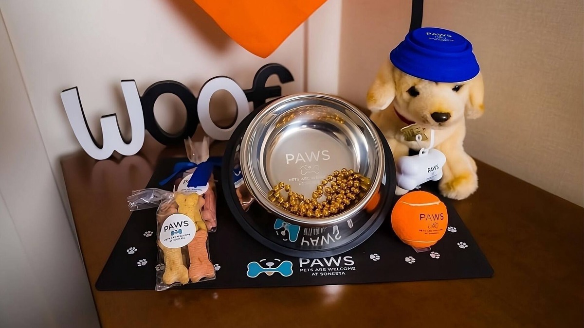 Las Colinas Hotel | Modern Escape | Pet-Friendly, Full Kitchen with Free WiFi!