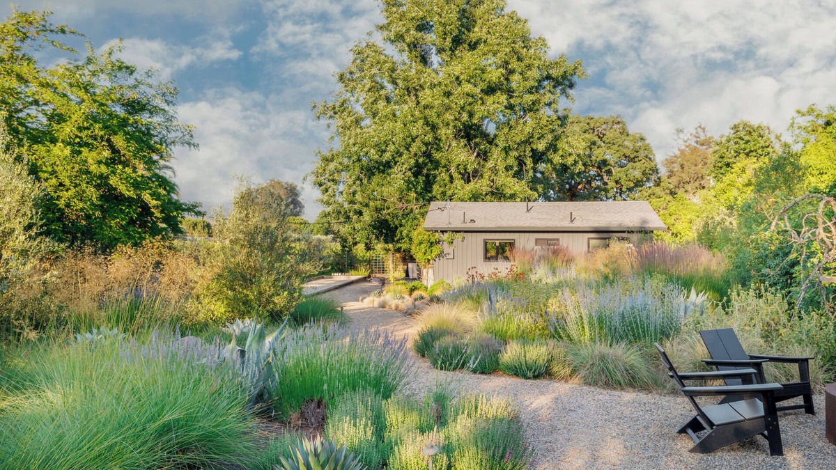 Sonoma Cottage | Modern Farmhouse on Vineyard w/Deck, Bocce & Wine Country Views