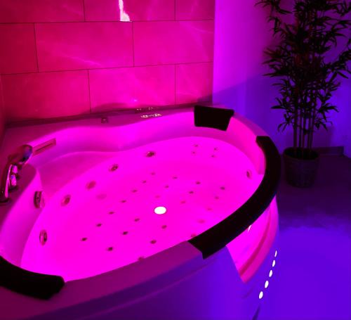 Brunoy Apartment | Modern SPA - Cosy & Chic - JACCUZI