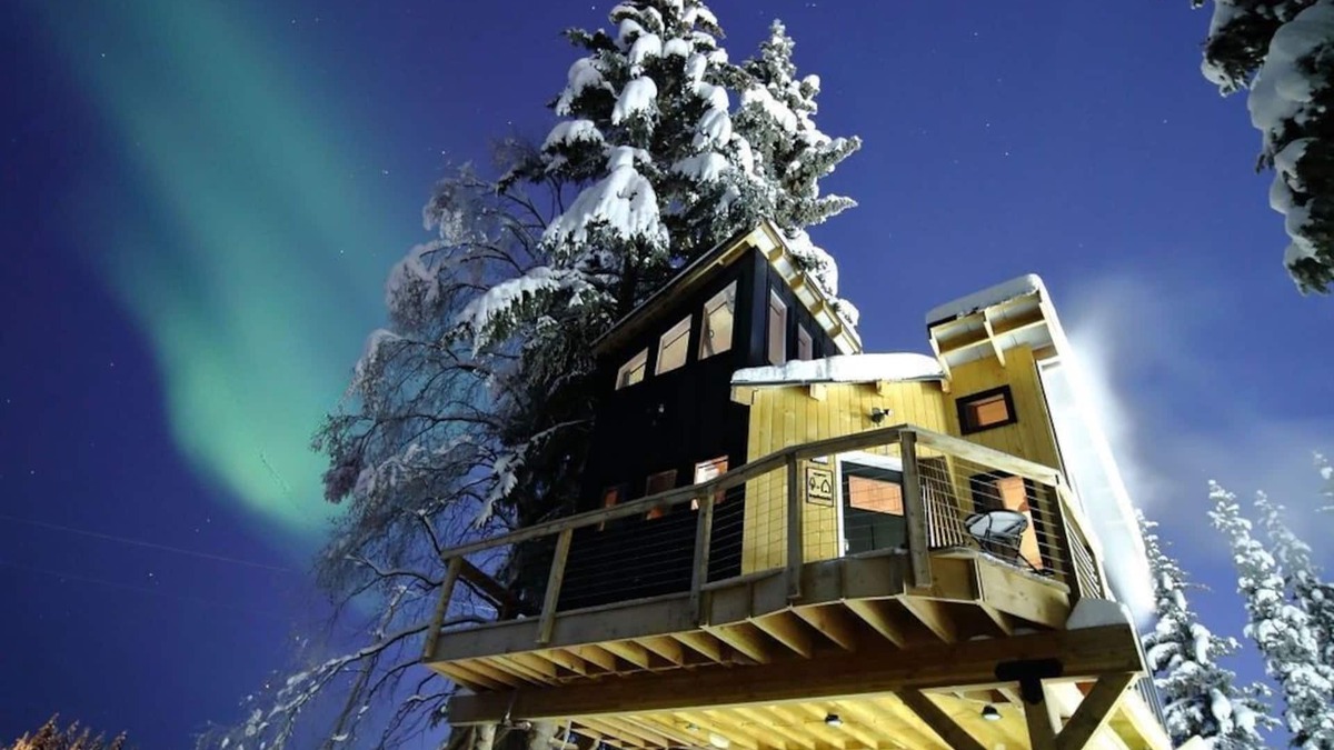 College House | Modern Tiny Home treehouse