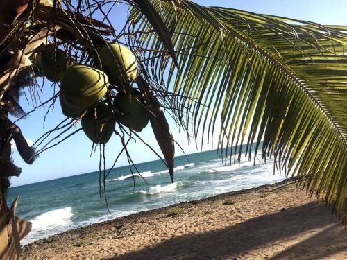 Villas Del Mar Apartment | Modern, Welcoming Studio, Ocean View in Juan Dolio