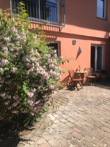 Gallin Apartment | Moderne großzügige Souterrainwohnung Zarrentin Gallin Schaalsee Natur Wald Wasser