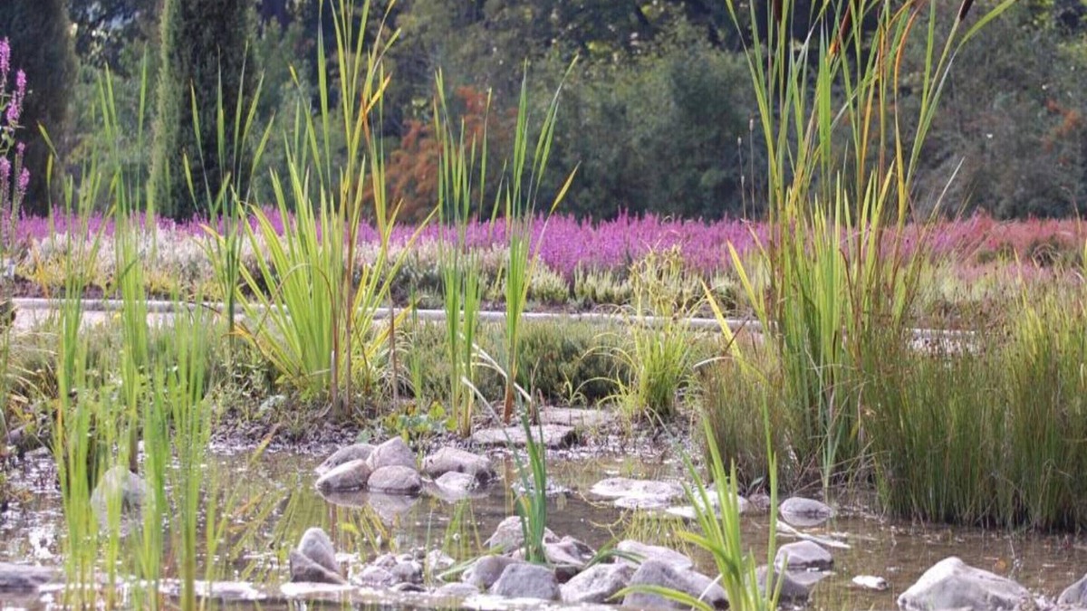 Schneverdingen Apartment | Moderne Wohnung mit Terrasse