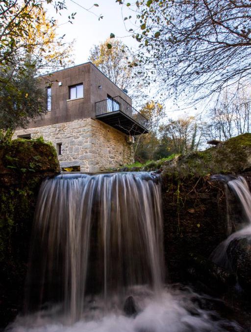 Bico House | Moinhos Carvalhas