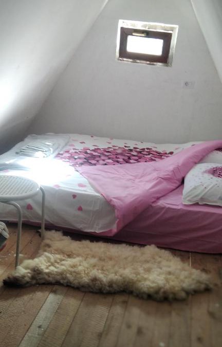 Virak House | Moj raj