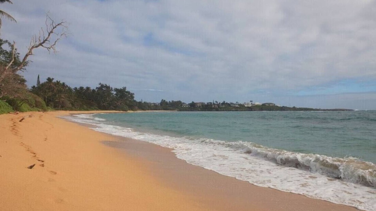 Laie House | 🌸Moku Paradise🌸 - Beach | PCC