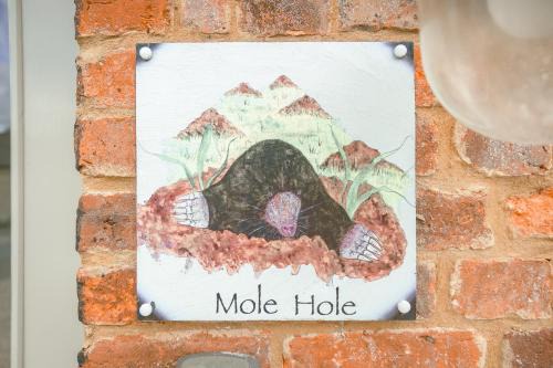 Towcester Apartment | Mole Hole