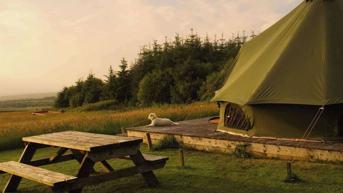 Bethania Cabin | Moleshill Retreat Wild Spa and Glamping space