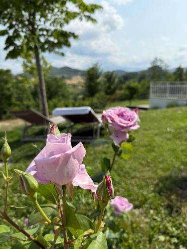 Pavullo nel Frignano Apartment | Molino Galeotto Riserva del Frignano
