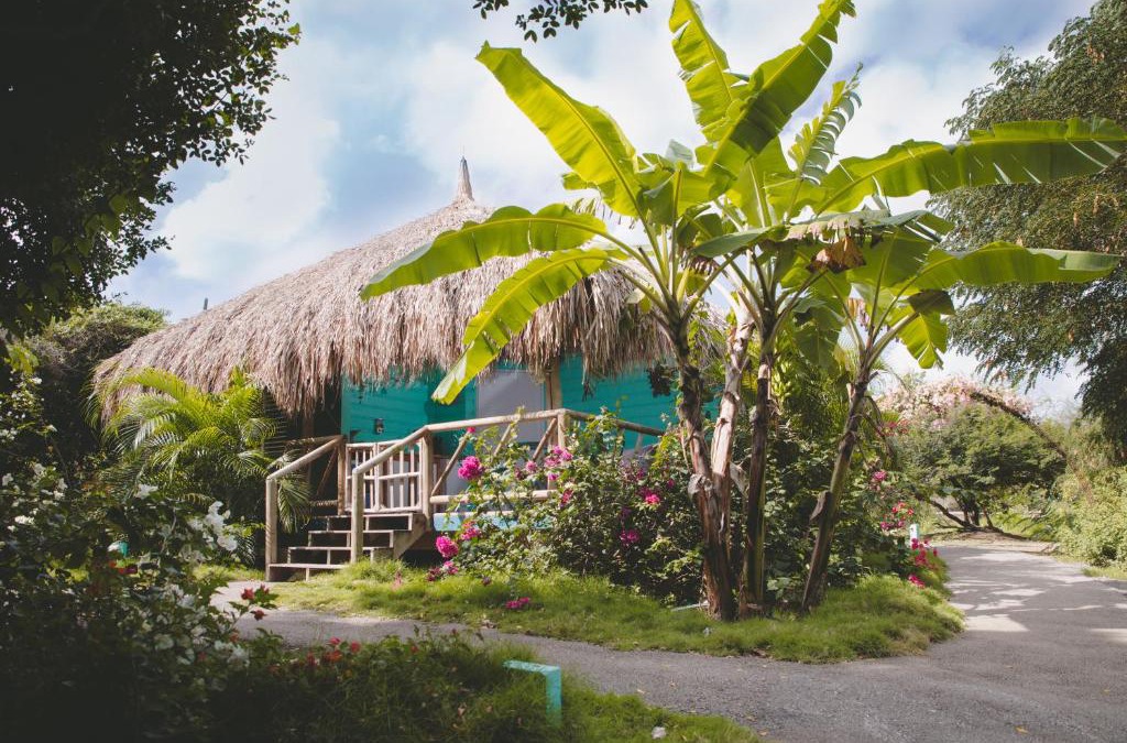 Sint Michiel Cabin | Mondi Lodge