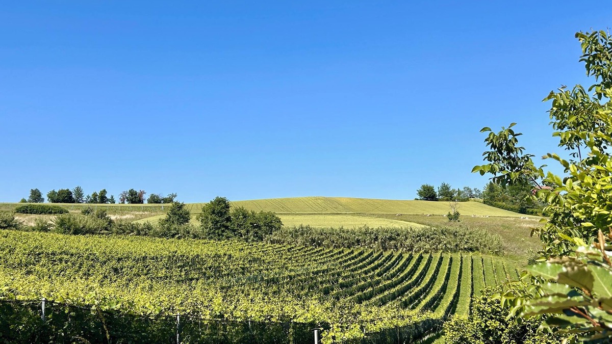 Cioccaro House | Monferrato Charme & Relax with Pool