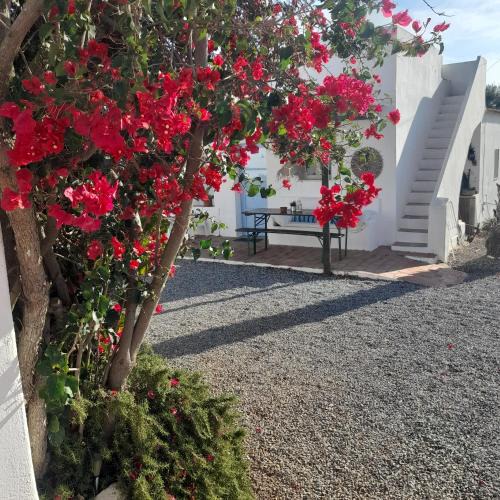 Altura Resort | Monte da Lagoa