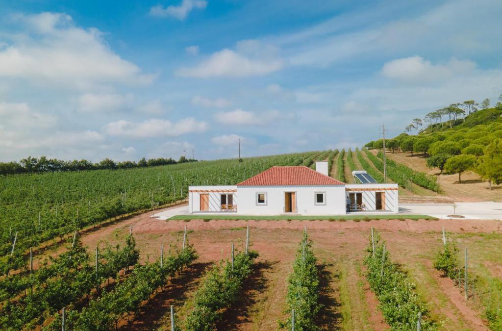 Obidos House | Monte da Várzea da Rainha