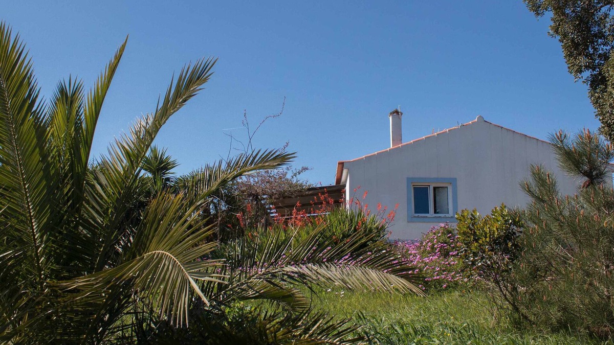 Santiago do Cacem House | Monte Horizonte - Casa Passaro - Eco & Nature