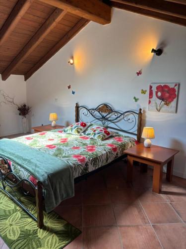 Caltignaga Apartment | Monterosa
