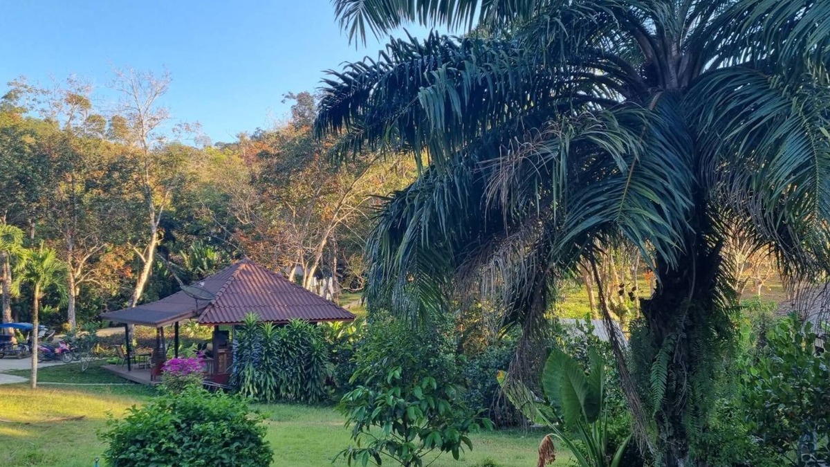 Ko Mook Hotel | Mookies Bungalow